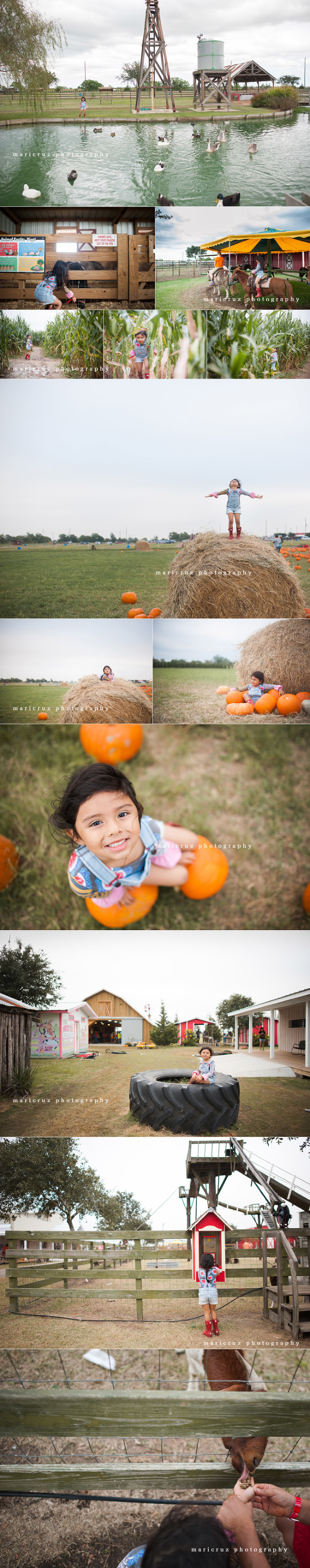 Katy TX Lifestyle Photographer 