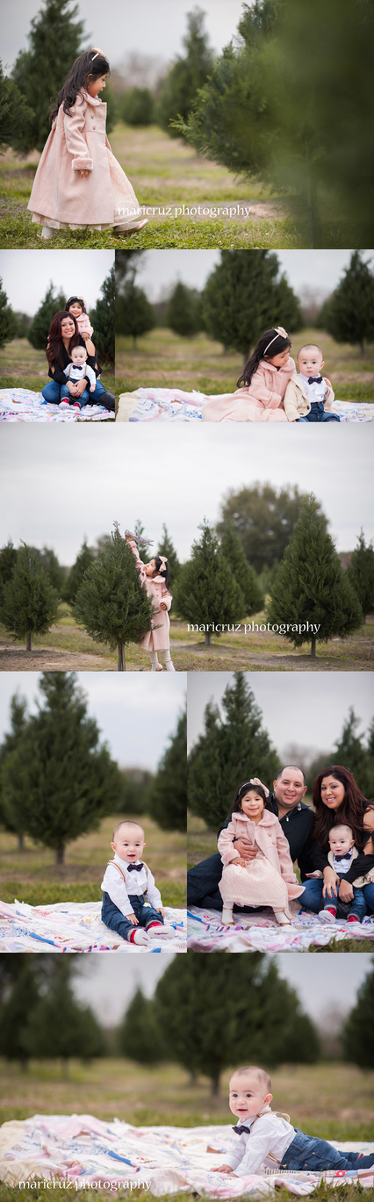 Tree Farm Katy TX Family Photographer 