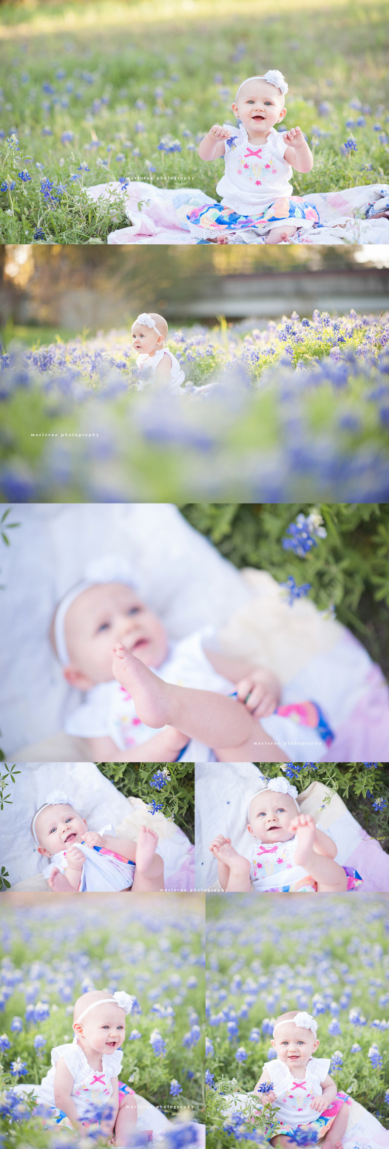 Bluebonnet Session Houston TX Child Photographer 