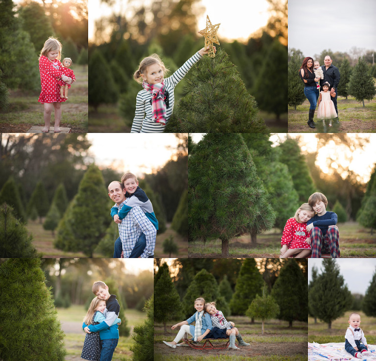 Fall Sessions at the Tree Farm | Houston Family Photographer 