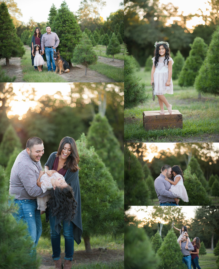 Tree Farm Mini Session for Families