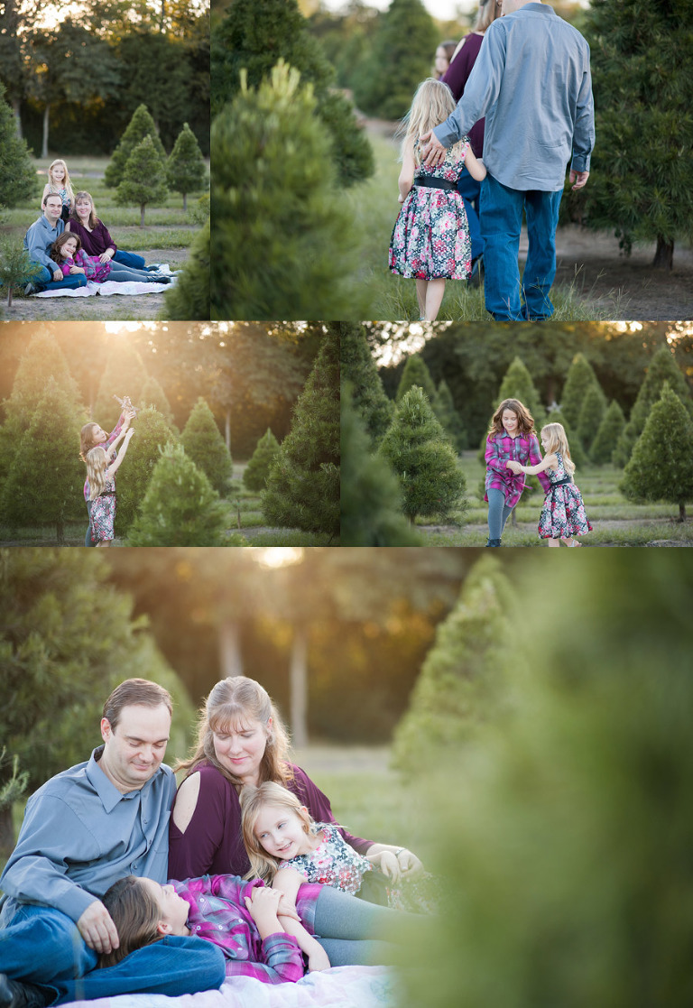 Tree Farm Session under the Sunset